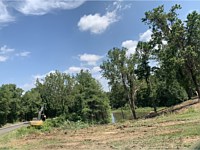 Land Clearing